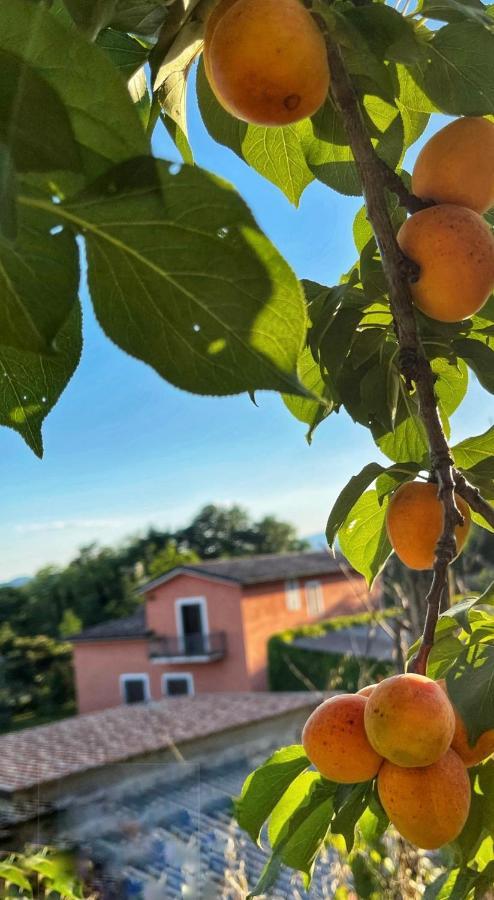 Вилла Demetra Relais Faicchio Экстерьер фото