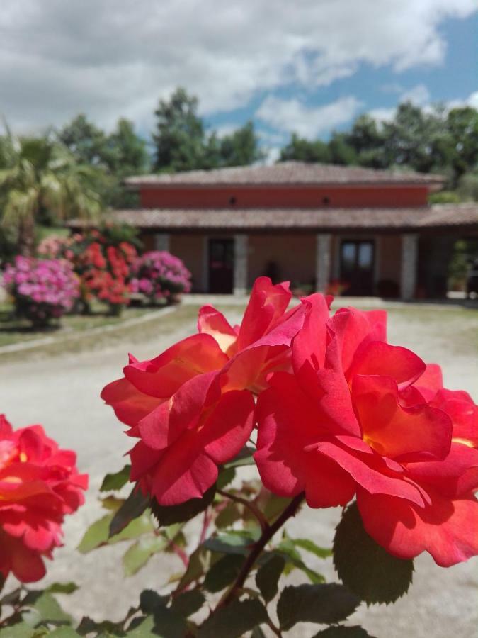 Вилла Demetra Relais Faicchio Экстерьер фото